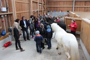 Tiergestützte Pädagogik mit Pferd